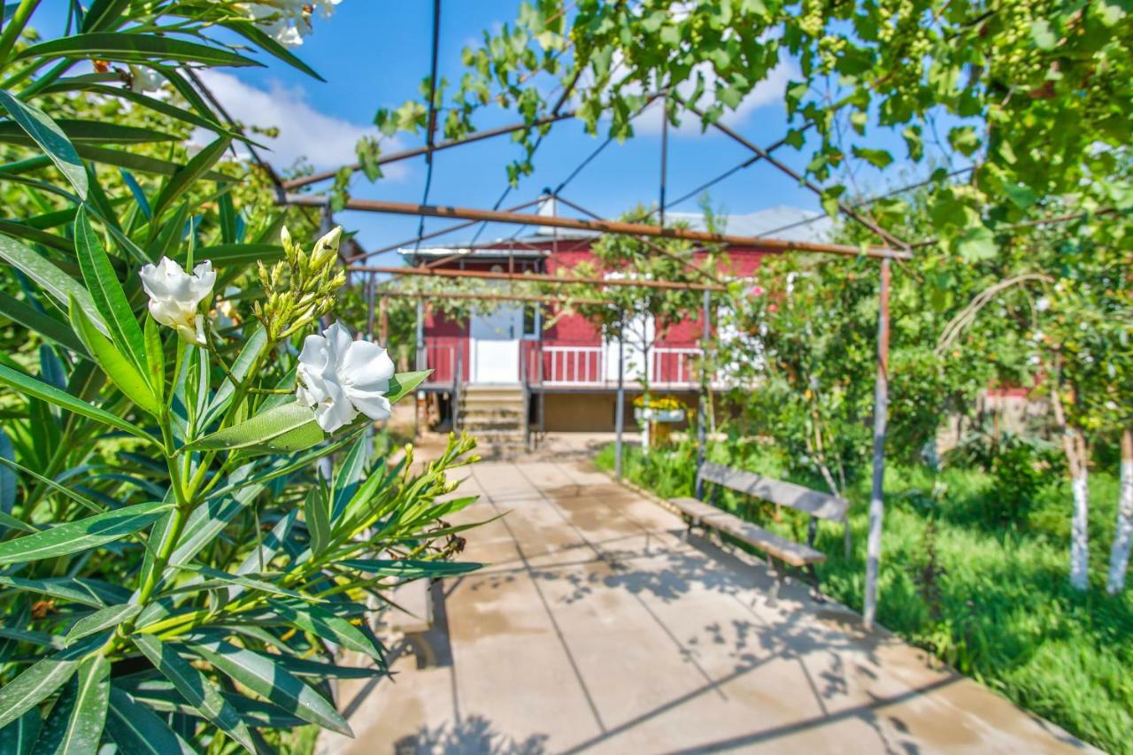 Book Hotel Koutaïssi Extérieur photo